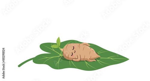 A Gentle Root Resting Comfortably on a Lush Leaf Against a Black Background