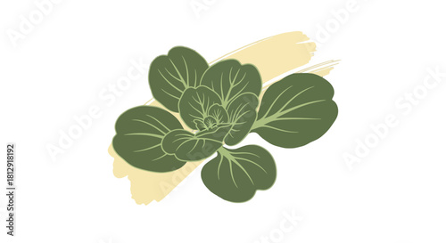 A Green Cabbage Illustration with Decorative Brushstroke on Black Background