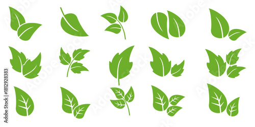 Leaf vector symbol, leaf illustration or leaf emoji in flat style. Spring leaf design, ecological nature theme.	