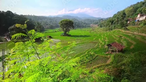 Scenic View of Lush Green Rice Terraces with Majestic Mount Ciremai in the Background