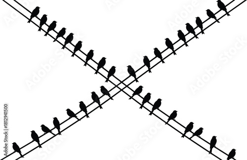 Birds Perching on Crossed Wires Silhouette Vector Illustration, Flock of Small Birds Sitting on Power Lines Forming an X Shape, Nature, Freedom, and Electrical 