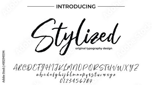 Stylized - Elegant Script Font for Smooth Handwritten Design and Creative Typography
