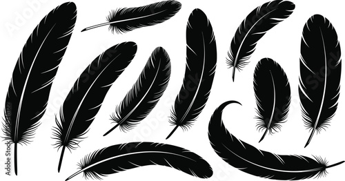 Collection of various black feather silhouettes vector set, featuring different sizes and shapes for design, freedom, lightness, angel wings, native American, and writing concepts on white.