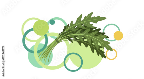 Abstract Arugula Composition With Geometric Shapes Illuminated On Dark Background