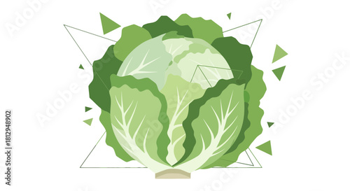 Abstract Cabbage Illustration with Geometric Accents on Monochrome Black Background
