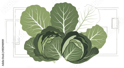 Abstract Cabbage Illustration with Geometric Elements and Modern Design on Black Background