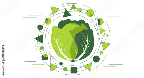 Abstract Cabbage Illustration with Geometric Shapes, Fresh and Modern Design