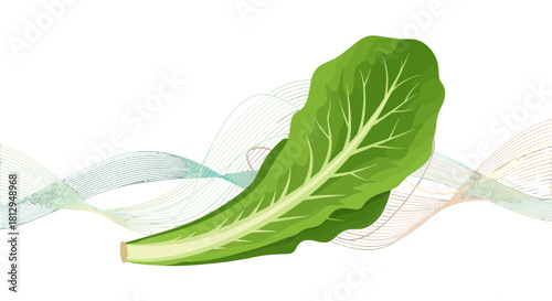 Abstract Composition Featuring Fresh Green Lettuce with Dynamic Fluidic Artistic Elements