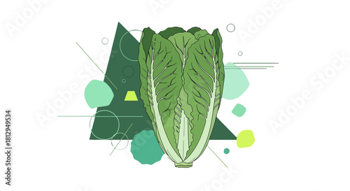 Abstract Illustration of Fresh Green Lettuce Surrounded by Geometric Shapes