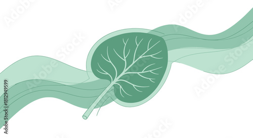 Abstract Leaf Artwork With Flowing Lines On Black Background Illustrating Nature