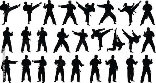 Extensive collection of martial arts silhouettes, featuring fighters in various dynamic karate and taekwondo combat poses, perfect for sports, self-