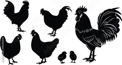 Farm Chicken Silhouettes Vector Illustration Set, Rooster, Hens, and Chicks Outline, Poultry Birds, Agriculture, Livestock Farming, and Animal Husbandry Graphic Element, Black and White, Isolated.
