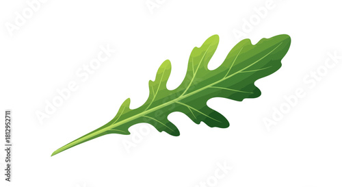 Arugula Leaf Against Black: Fresh Greenery, Culinary Ingredient, and Botanical Render