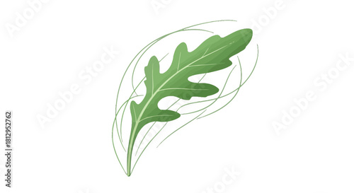 Arugula Leaf Depicted With Artistic White Lines Against Black Background