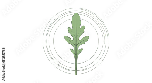 Arugula Leaf in Concentric Circles on Black Background Design for Various Food Concepts
