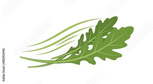 Arugula Leaves Displayed Against a Black Background, Illustrating Freshness and Natural Ingredients