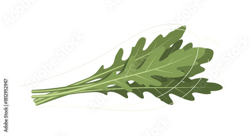 Arugula Leaves Displayed Against a Black Background Enhanced With White Delicate Lines