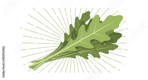 Arugula Leaves Displayed Radiantly Against a Stark Black Background in Artistic Fashion