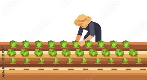 Agricultural Laborer Inspecting Garden Vegetation with Focus and Concentration for Harvest