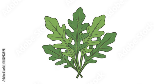 Arugula Leaves Illustration On Black Background Perfect For Culinary, Health and Design