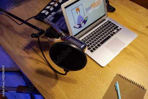 Professional microphone in ...