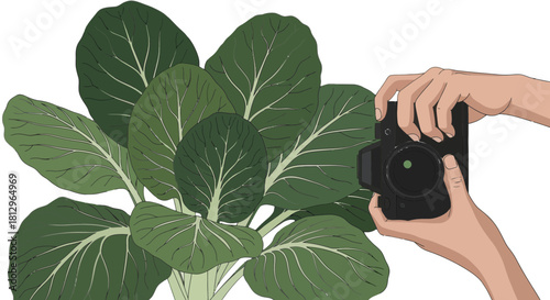 Captured Verdant Bounty A Photographer's Encounter with Leafy Green Plants and Their Beauty