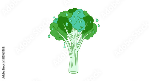 Cartoonish Depiction Of Broccoli With Droplets Against Black Backdrop, Fresh Greens
