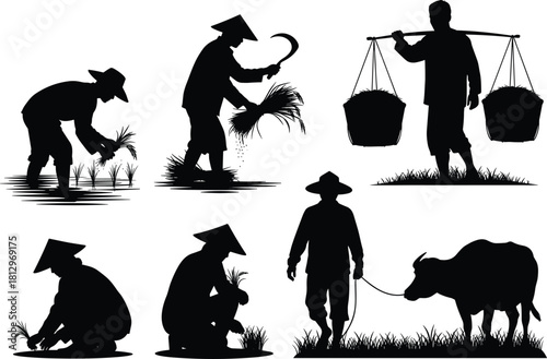 Traditional farming silhouettes with rice planting, harvesting, rural lifestyle, water buffalo, agriculture labor, village culture, vector art for Asian countryside