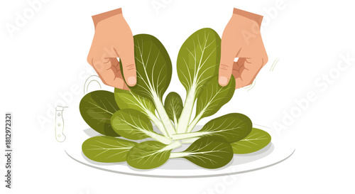 Chef's Hands Arranging Fresh Bok Choy Leaves Displayed Elegantly On A Plate