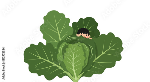 Child Hiding In The Green Leaves of A Healthy Cabbage In A Dark Background