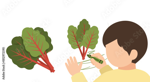 Child's Educational Illustration Depicting Spinach, Coloring, Learning, and Artistic Depiction