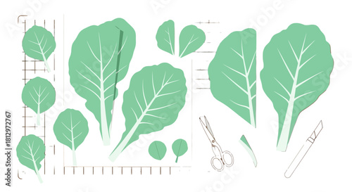 Collage Of Green Leaves With Tools On Black Background Creative Illustration
