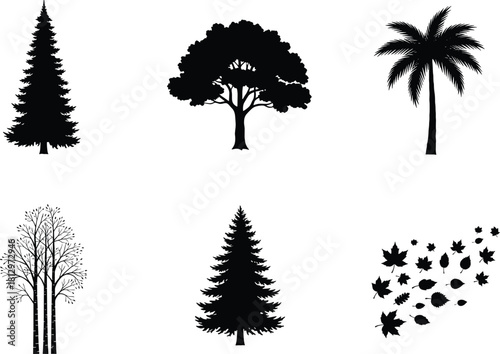 Tree silhouette vector collection with pine, oak, palm, and birch trees featuring leaves illustration in natural botanical design set