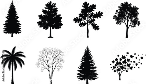 Tree silhouette vector collection with pine, oak, palm, and birch trees including falling leaves in natural botanical design set illustration