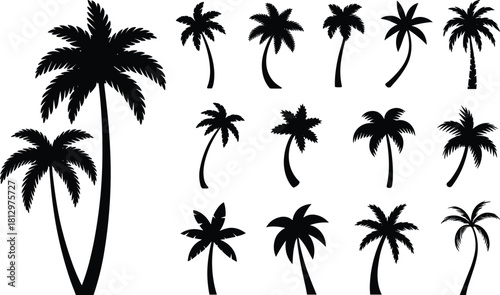 Tropical palm tree silhouette collection with diverse frond styles, curved trunks, exotic shapes for summer, beach, jungle, and paradise themes