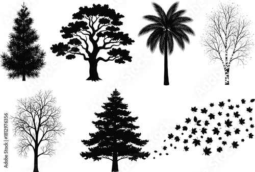 Tree silhouette vector collection with pine, oak, palm, and birch trees including falling leaves illustration in natural botanical design set