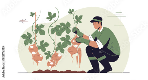 Cultivating Crops: A Gardener's Illustrated Harvesting Process in an Illustrated Design