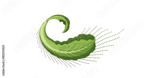 Elegant Leaf Displayed Against A Black Backdrop Creating An Intriguing Visual