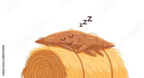 Cute Cartoon Vegetable Napping Comfortably on Hay Bale After A Long Day