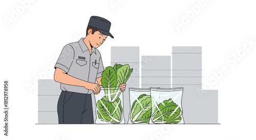Employee Packaging Fresh Greens Vegetables In Transparent Plastic Bags For Sale