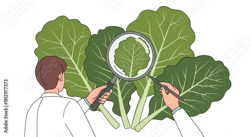 Examining Fresh Leafy Greens: Agriculture Scientist's Botanical Inspection and Analysis