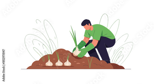 Depiction Of A Gardener Harvesting Freshly Grown Onions In The Garden