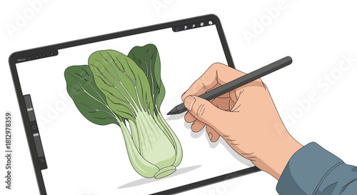 Digitally Illustrated Bok Choy Being Created on a Tablet Device by a Hand With Stylus