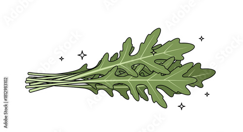 Fresh Arugula Leaves on Black Background: A Culinary and Food Photography Shot