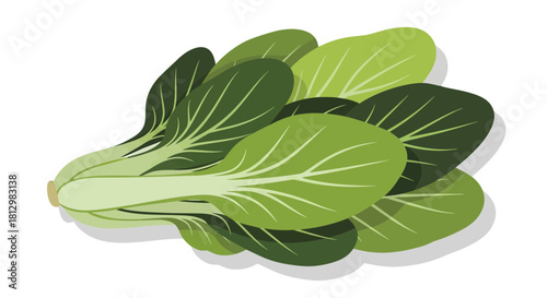 Fresh Bok Choy: A Vibrant Digital Illustration in Green Tones on Black Background