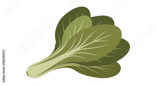 Fresh Bok Choy Against a Black Background: A Fresh Natural Vegetarian Food Item