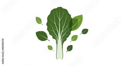 Fresh Bok Choy Against a Black Background: A Fresh, Colorful, and Minimalist Presentation