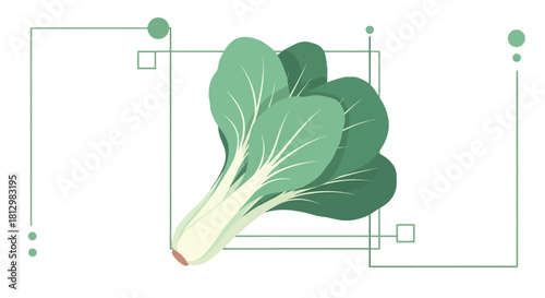 Fresh Bok Choy Against a Contrasting Black Background with Geometric Design