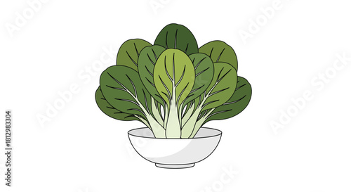 Fresh Bok Choy Displayed Beautifully in a White Bowl Against Black Background