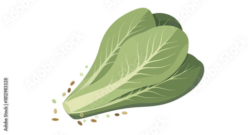Fresh Bok Choy Displayed With Seeds Against A Black Background Design Artwork